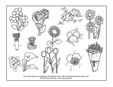 30 Flores Para Colorear Pictures Db