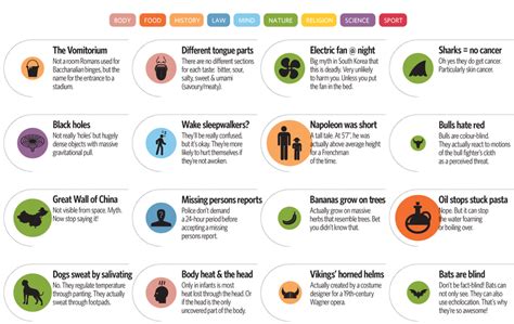 52 Common Myths Debunked In One Glorious Infographic Common Myths
