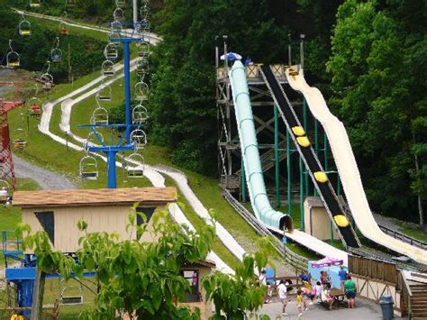 The Epic Alpine Slide At Ober Gatlin In Tennessee You Need
