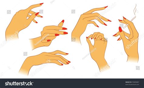 Vector Women Hands 70985887 Shutterstock
