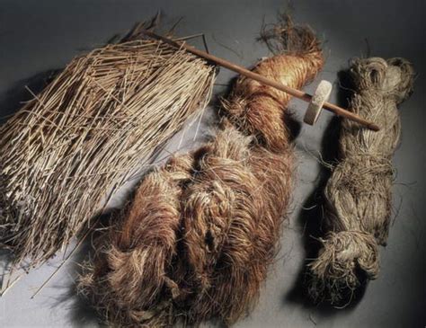 We did not find results for: natural fibre | raw material | Britannica.com