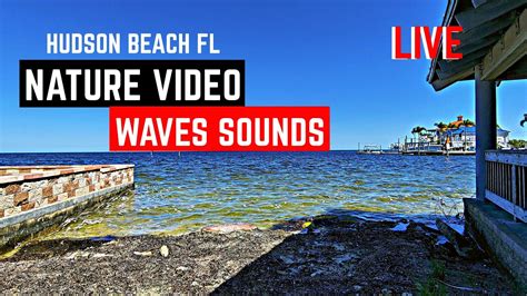Nature Live Waves Sound Hudson Beach Fl Youtube