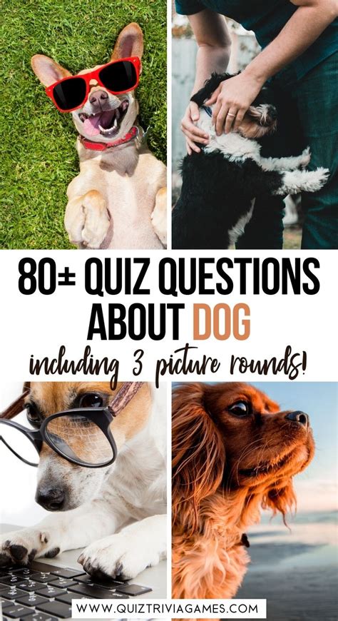 81 Dog Quiz Questions And Answers Inc Picture Rounds Quiz Trivia Games