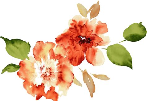 Clip Transparent Download Watercolour Flowers Paper Watercolor