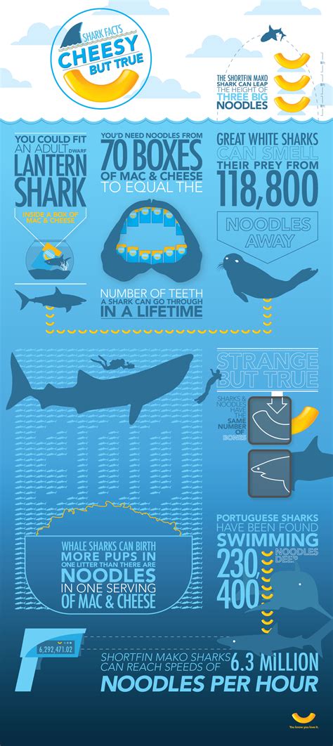 Cheesy But True Shark Week Infographic SharkWeek Shark Week Shark Facts Shark