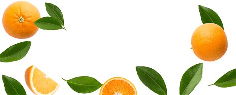 Transparent Orange Fruit Leaf Png Jamies Witte