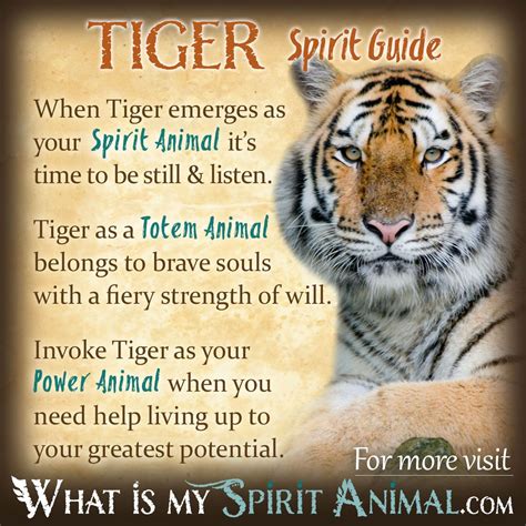 Tiger Symbolism And Meaning Spirit Totem And Power Animal