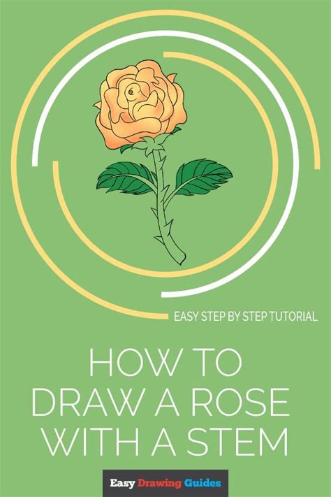 How To Draw A Rose In A Few Easy Steps Easy Drawing Guides Easy