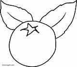 Blueberry Coloring Pages Big sketch template