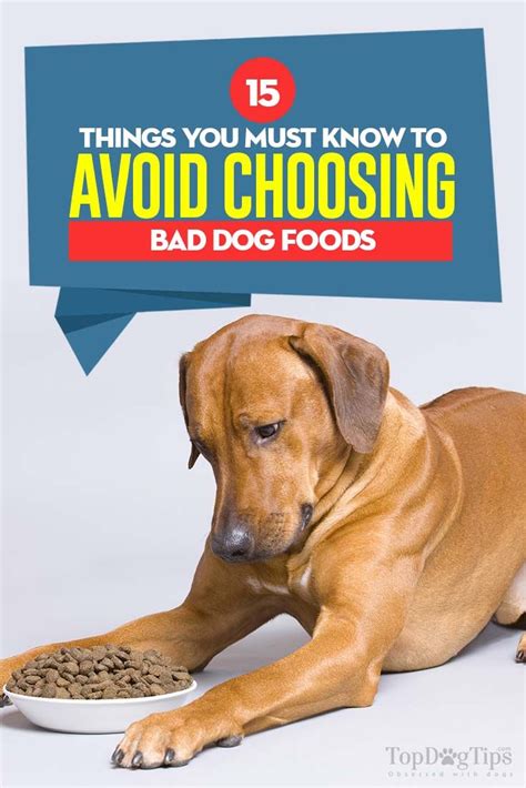 Awareness of which food is not suitable for your loving dog is most essential. 15 Ways to Avoid Bad Dog Foods | Dog food recipes, Foods ...
