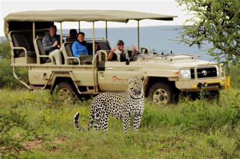 How to Plan an African Safari on a budget