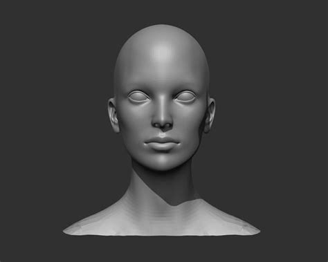 female head realistic base mesh 3d model 3d model cgtrader