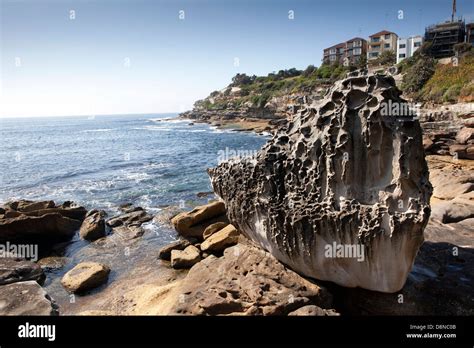 A View Of A Rock On The Cliff Walk Near Bondi Beach In Sydney