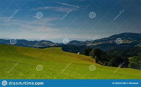 Aerial View Of Greenery Field Surrounded By Dense Trees And Mountains
