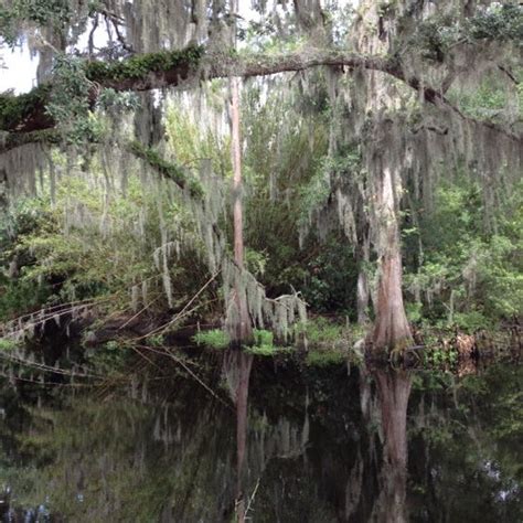 Shingle Creek Park Trail In Kissimmee