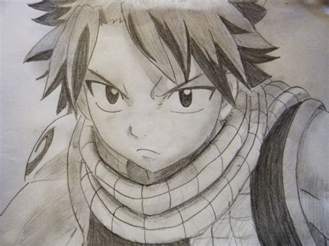 Fairy Tail Anime Drawing At Getdrawings Free Download