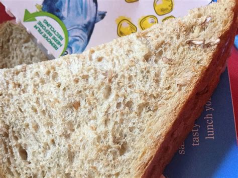 Are The White Dots Mould Or Part Of The Bread Seasoned Advice