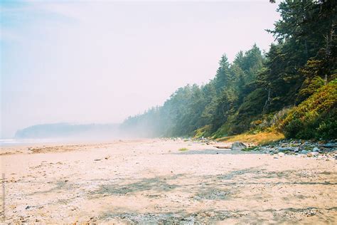 A Sandy Beach Nestled Between The Forest Edge And Ocean By Stocksy
