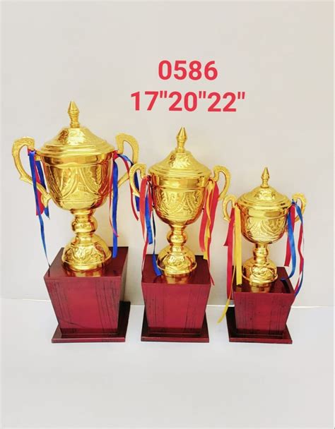 Aluminum Golden Metal Trophy Cup Award At Rs 2700set In Moradabad Id