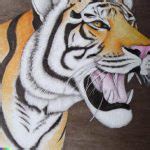 Como Desenhar Um Tigre Ideias Materiais E Passo A Passo