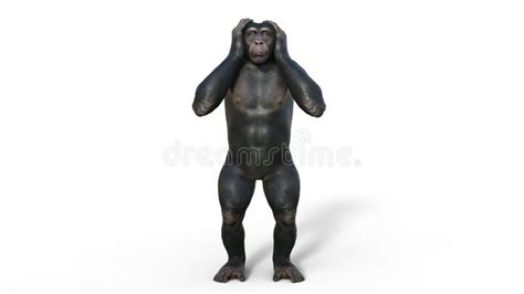 El Mono Del Chimpancé Mono Del Primate Que Cubre Los Oídos Animal