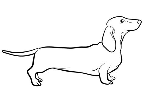 Dachshund Coloring Pages Free Printable Coloring Pages For Kids