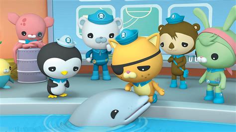 Bbc Iplayer Octonauts Series 1 35 The Baby Dolphin Audio Described