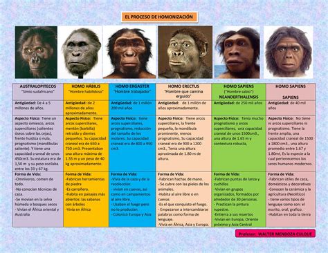 EvoluciÓn Del Hombre By Walter Mendoza Issuu