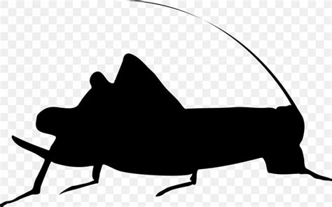 Insect Cricket Dave Michaels Band Silhouette Png 980x612px Insect