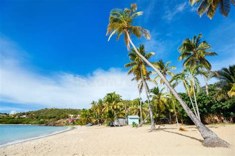 Idyllic Beach At Caribbean Stock Image Image Of Exotic 91124927