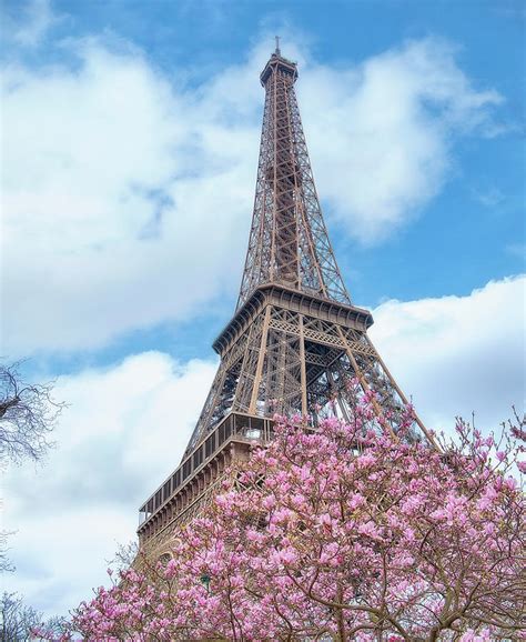 Eiffel Tower Spring Photograph By Cora Niele