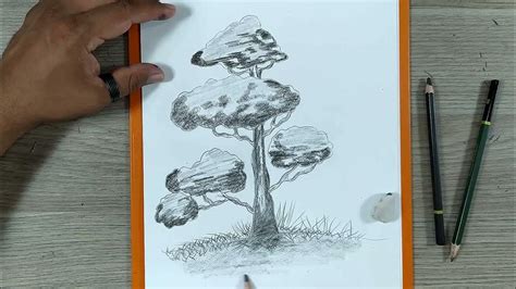 Como Dibujar Un Arbol Realista Dibuja Facil Dibujos Para Principiantes Youtube