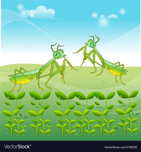 Praying Mantis Grasshopper Cartoon Royalty Free Vector Image