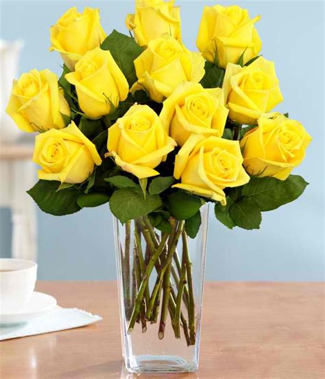 The flowers are very fragrant and the smell from them fills my house! Cheap Flowers Online