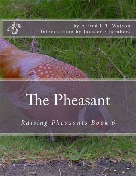 The Pheasant Raising Pheasants Book 6 By Alfred Et Watson Paperback