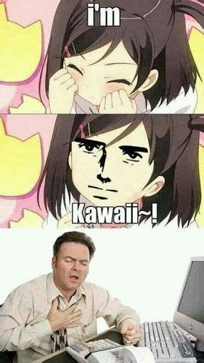 Owo Anime Amino