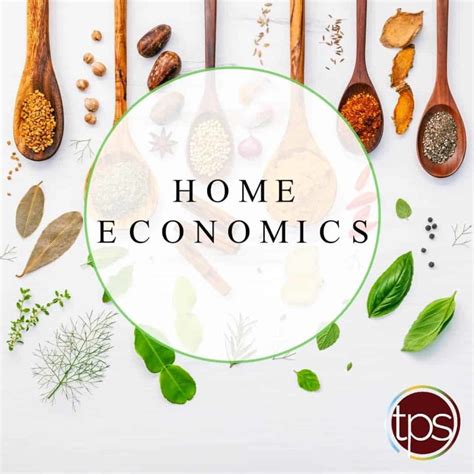 Introduction To Home Economics Classnotesng
