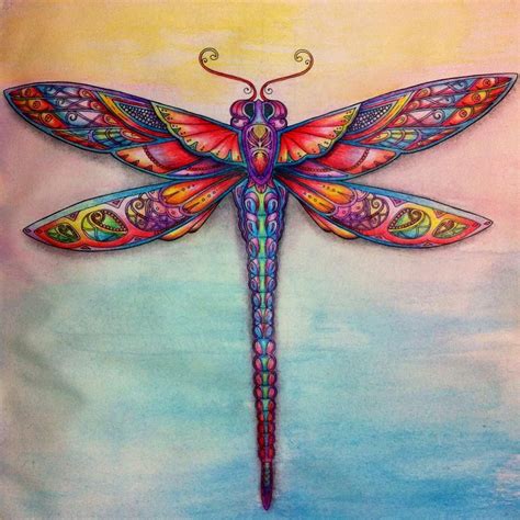 Elisabeth Sarkis On Instagram “floresta Encantada Lapis” Dragonfly