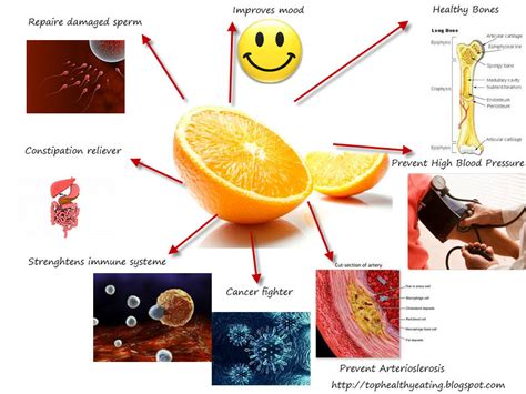 The Amazing Benefits Of Oranges Top Healthy Eating