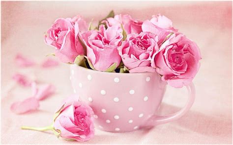 Pink Roses In Cup Wallpaper Pink Roses In Cup Wallpaper 1080p Pink