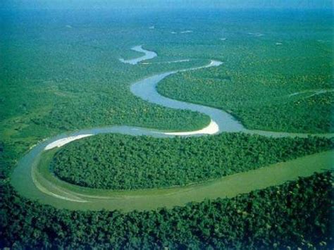 10 Interesting Amazon River Facts My Interesting Facts
