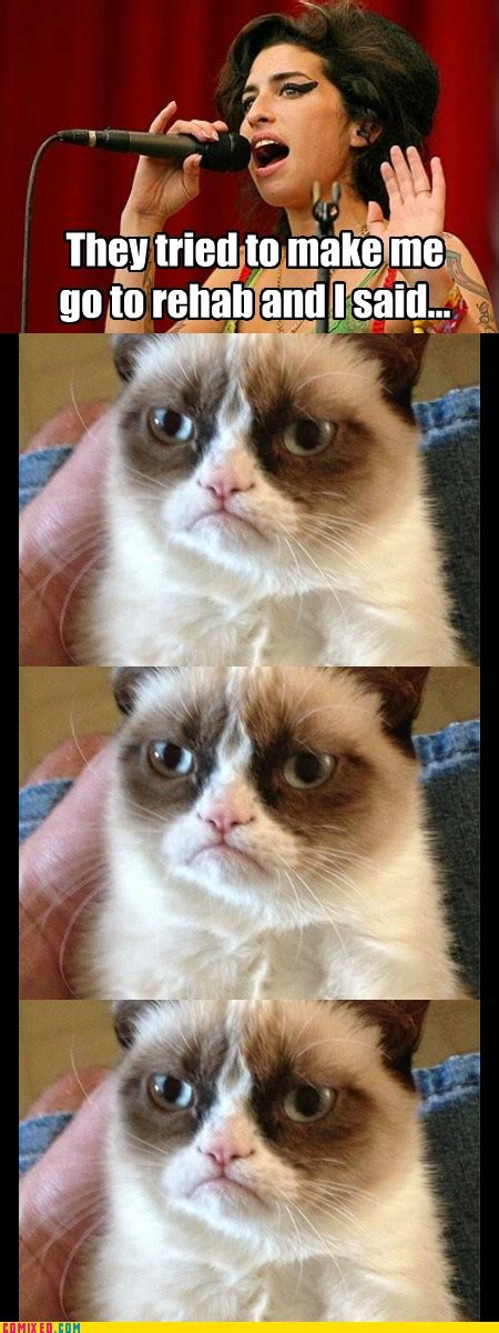 Memebase Grumpy Cat Page 7 All Your Memes In Our Base Funny