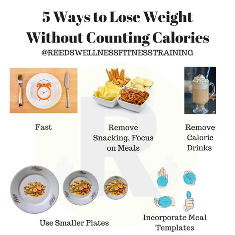 5 Ways To Lose Weight Without Counting Calories By Joshua Reed Medium