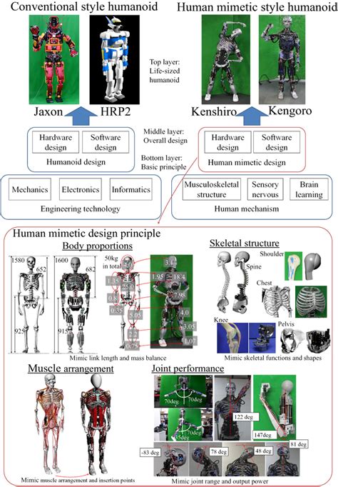 Design Principles Of A Human Mimetic Humanoid Humanoid Platform To