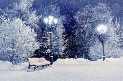 Winter Night Landscape Scene Of Snow Covered Bench Among