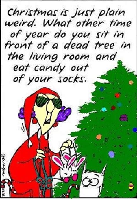 Tis The Season For Laughing All The Way 24 Pics Funny Christmas