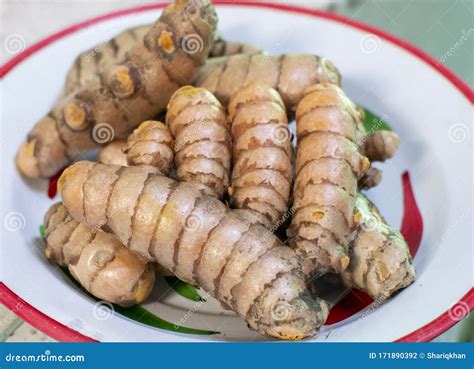 Raw Fresh Turmeric Roots For Species Cooking Stock Photo Image Of