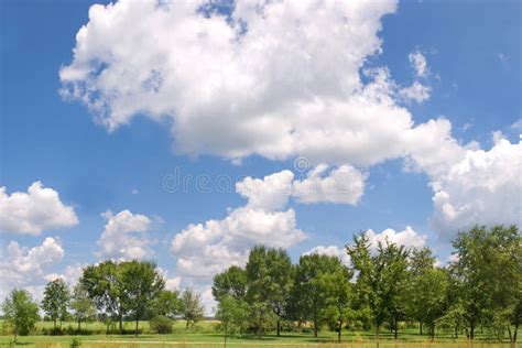 Field Covered In Lawn And Trees Under A Cloudy Sky And Sunlight At