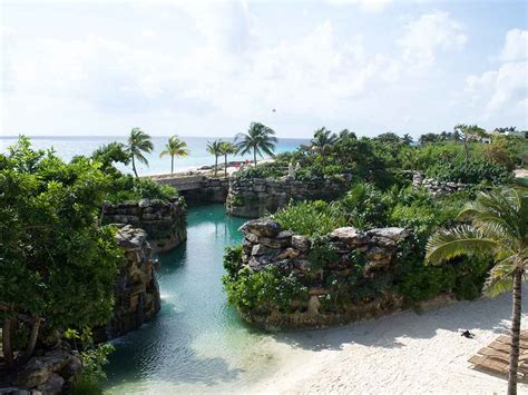 The coffee pods are biodegradable and actually made of corn! Hotel Xcaret México en Riviera Maya ¡incluye los parques ...