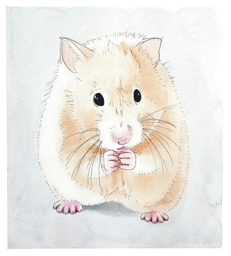 Hamster Watercolor Painting Painting By Michelle Wang Fine Art America